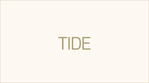 Tribal Integrated Development &amp; Education Trust (Tide)